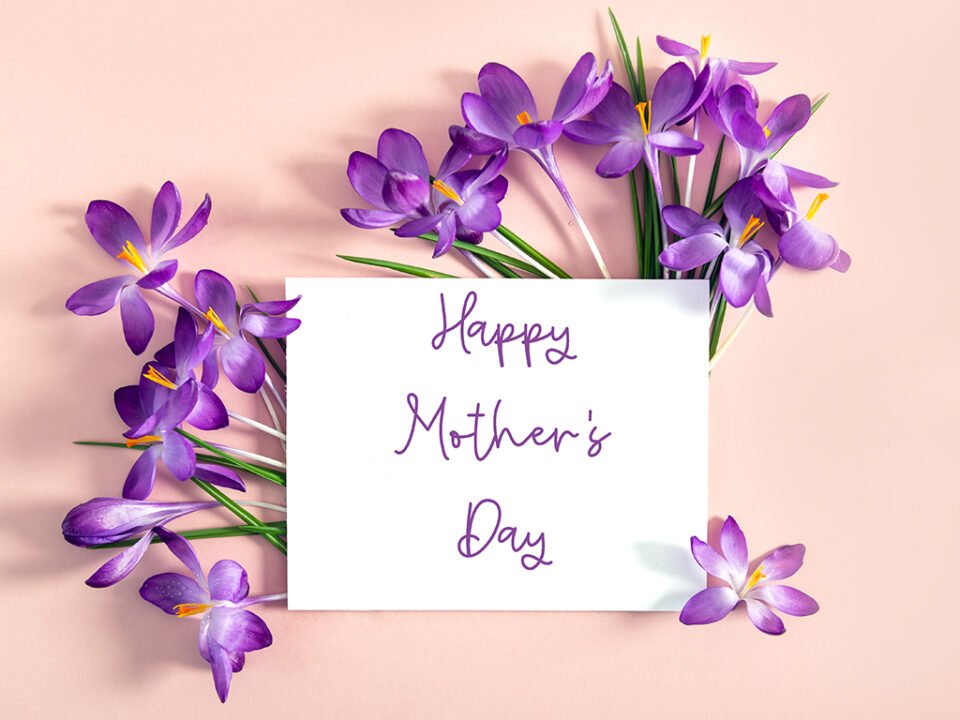 Cisco's Mexican Restaurant: Happy mother's day card with purple flowers on a pink background, perfect for celebrating Mother's Day with a Mexican food brunch!